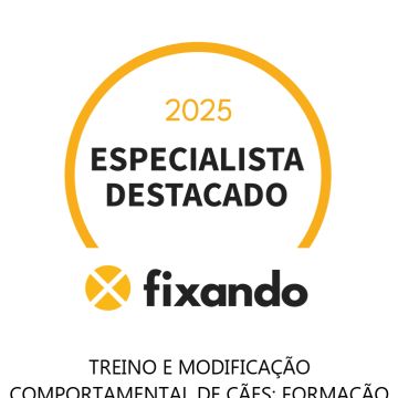 Treino e modificação comportamental de cães; Formação para tutores de cães; Terapias assistidas com cães; - Santarém - Dog Training - Private Lessons