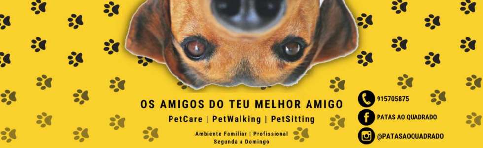 Patas ao Quadrado - Fixando