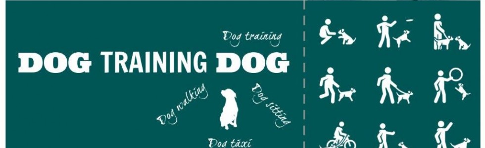 Dog Training Dog - Fixando