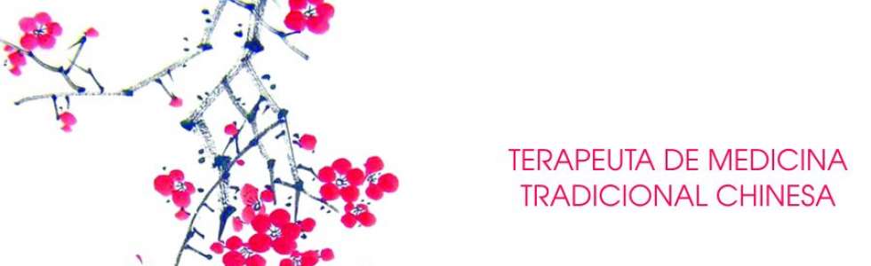 Joana Oliveira - Medicina Tradicional Chinesa - Fixando