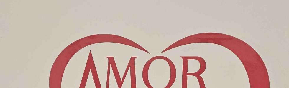 MK Amor à Vida - Fixando