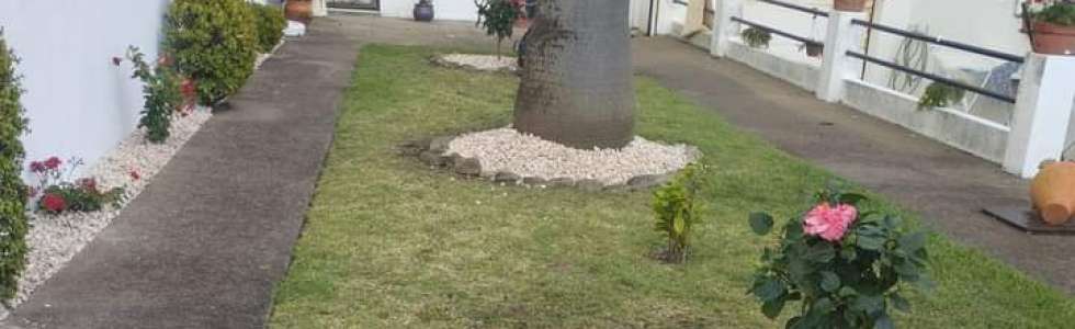 Operador de Jardinagem - Fixando