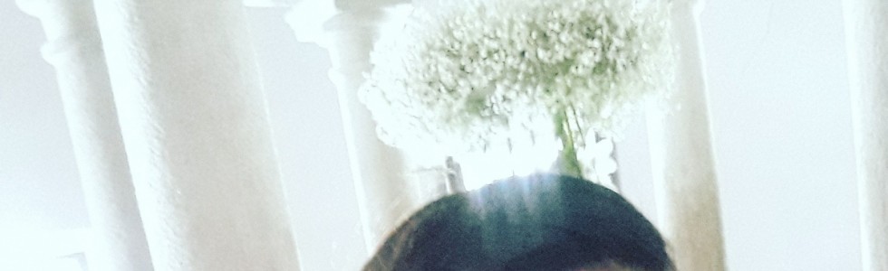 Lu&iacute;sa Vieira - Fixando