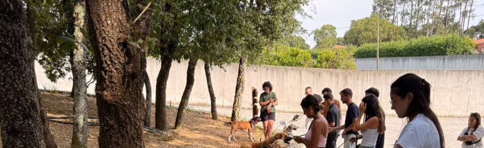Joaosilva.dogtrainer - Fixando