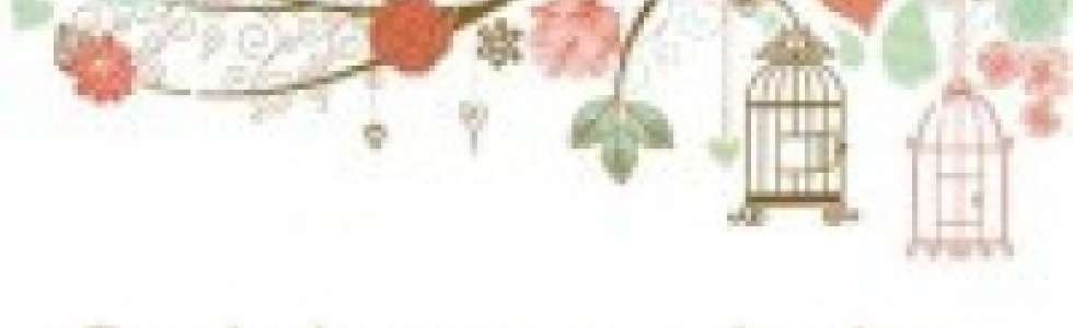 Lilian  /Limpezas - Fixando