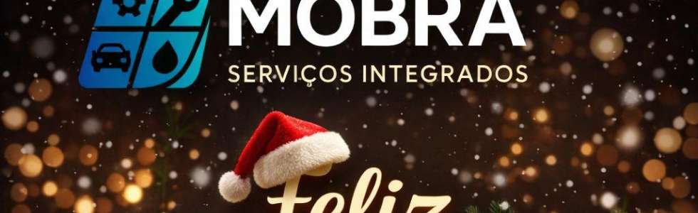 MOBRA - SERVI&Ccedil;OS INTERGADOS - Fixando