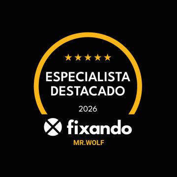 Mr.Wolf - Vila Nova de Gaia - Limpieza de primavera