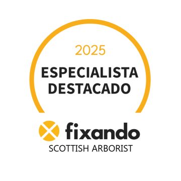 Scottish Arborist - Figueira da Foz - Poda e Manutenção de Árvores
