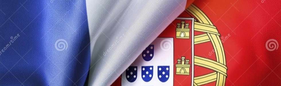 Rosa - Fixando