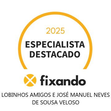 Lobinhos Amigos e José Manuel Neves de Sousa Veloso - Lisboa - Treino de Cães - Aulas