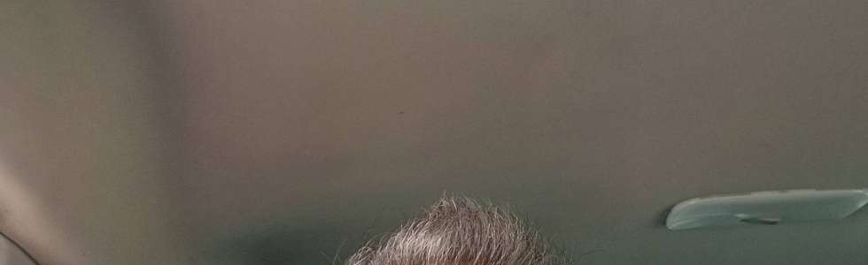 FERREIRA - Fixando