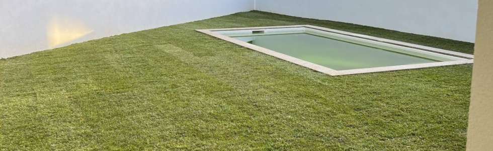 Filipe jardinagem - Fixando
