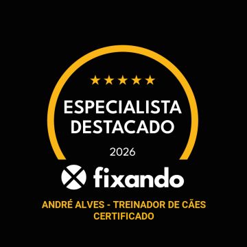 André Alves - Treinador de Cães Certificado - Mafra - Treino de Cães - Aulas