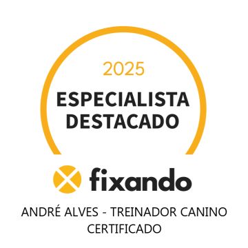 André Alves - Treinador de Cães Certificado - Torres Vedras - Treino de Cães - Aulas