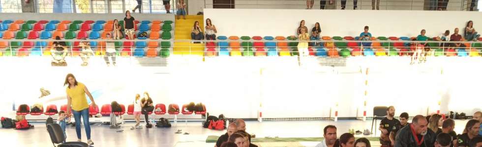 Academia Artes Marciais - Fixando