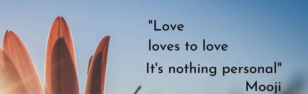 Cl&aacute;udia Roque - Fixando