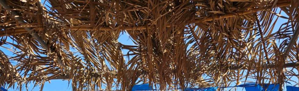 Angels Bar Terrace - Fixando