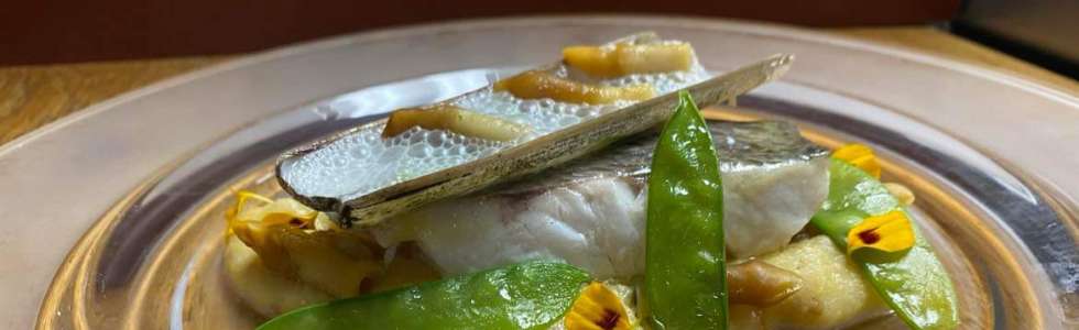 Chefe Executivo, Consultor de Cozinha, Gastronomia Personalizada e Organização de Eventos Exclusivos - Fixando