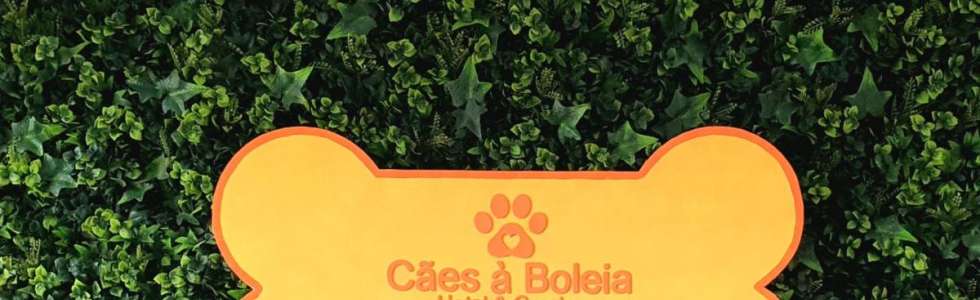 C&atilde;es &agrave; Boleia - Fixando