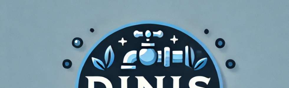 Dinis Cunha - Fixando