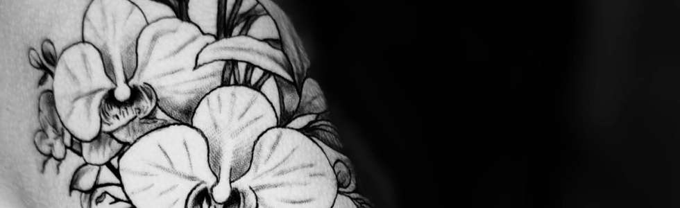 Raphael Madeira - Tatuador - Fixando
