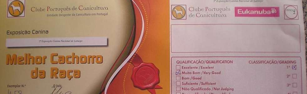 J&uacute;lia Matias - Fixando