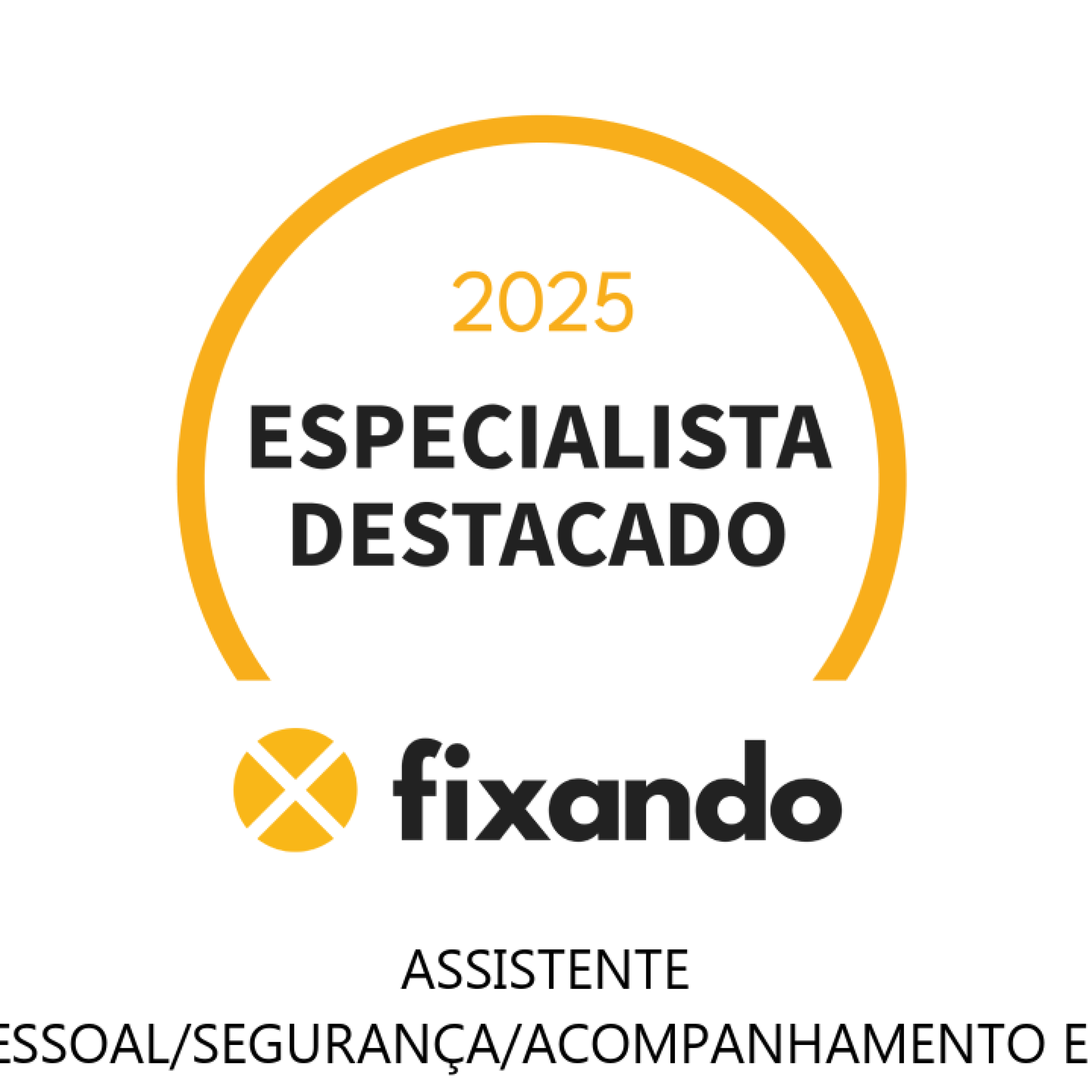 assistente pessoal/segurança/acompanhamento em viagens - Cascais - Chauffeurservice