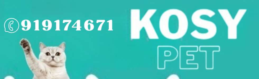 Liliana Velez - Fixando