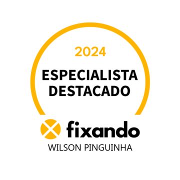 Wilson Pinguinha - Faro - Biscates