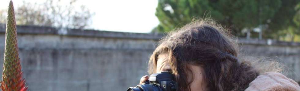 Carina - Fixando