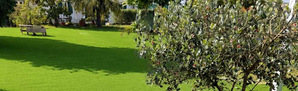 Soares jardins e campos jardim - Fixando