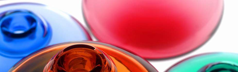 Fotografiamais () - Fixando