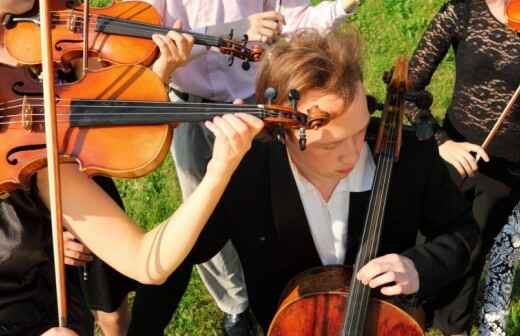 Classical Band Entertainment - Violinists