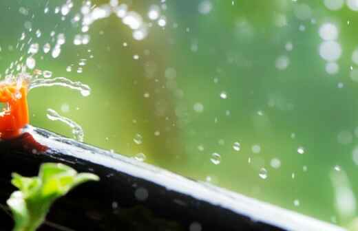 Drip Irrigation System Installation - Vegetable