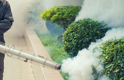 Pest Extermination Companies - Ham Spray