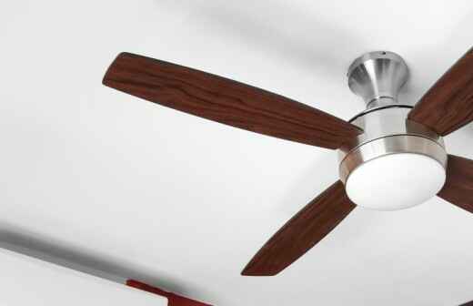 Ceiling Fan - Whisby Moor