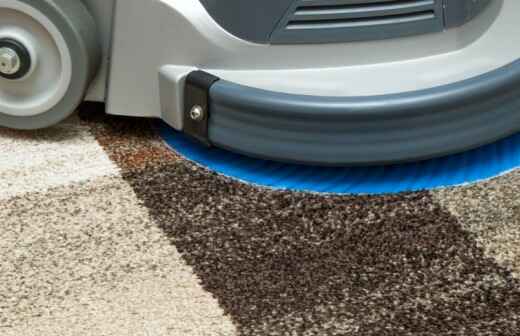 Carpet Cleaning - Thruxton