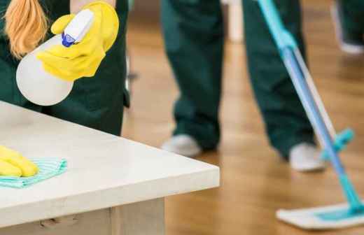 House Cleaning (Recurring) - Cleanings