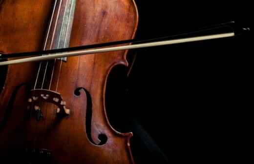 Viola Lessons (for children or teenagers) - Bonymaen