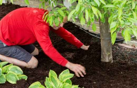 Mulching - Mollington