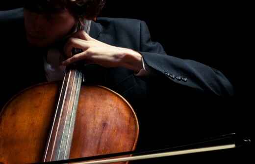 Viola Lessons - Great Sturton
