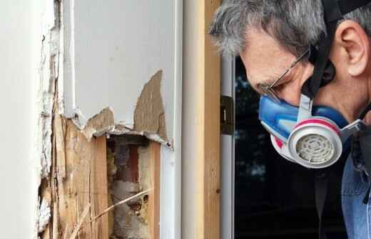 Termite and Pest Inspection - Fumigant