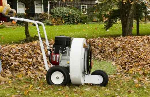 Leaf Clean Up (One Time) - Higher Tranmere