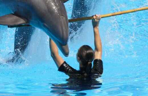 Animal Show Entertainment - Bonymaen