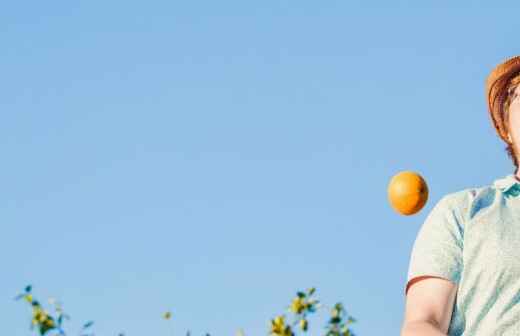 Juggling - Broadsword Park