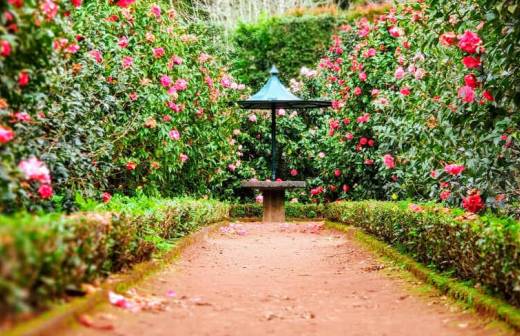 Landscaping